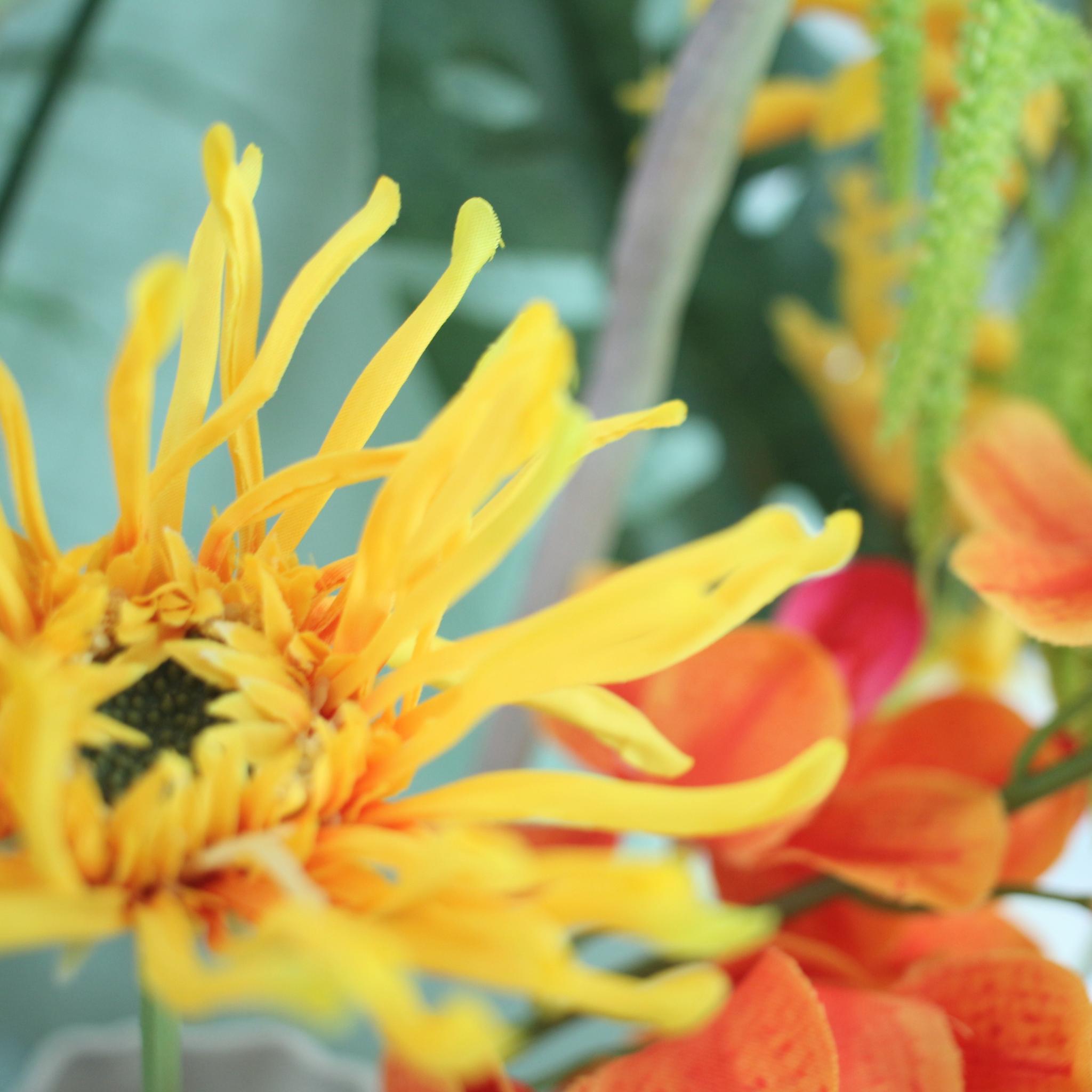 flower photo set~TROPICAL | 2枚目